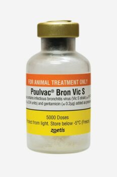 Poulvac Bron VicS Single